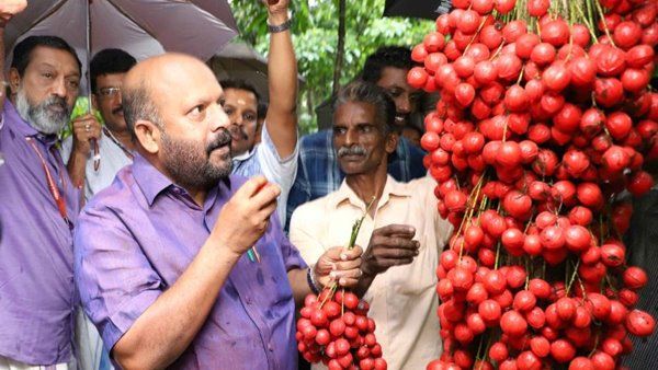 മൂട്ടിപ്പഴം രുചിക്കുവാന്‍ മന്ത്രി സുനില്‍കുമാര്‍ എത്തി; അപൂർവ ഔഷധ സസ്യം വളരുന്നത് വണ്ണപ്പുറം സ്വദേശി ബേബി എബ്രഹാമിന്റെ പുരയിടത്തിൽ...