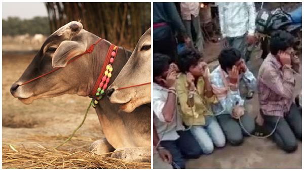 ഗോരക്ഷകരുടെ ഗുണ്ടായിസം! പശുക്കടത്തിന്റെ പേരിൽ 25 യുവാക്കളെ കെട്ടിയിട്ട് മർദ്ദിച്ചു, വീഡിയോ വൈറൽ!