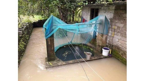 പ്രളയത്തെ ഓർമിപ്പിച്ച് കോഴിക്കോട്ട് കനത്ത മഴ;  വ്യാപക കൃഷിനാശം, വീടുകൾ തകർന്നു!