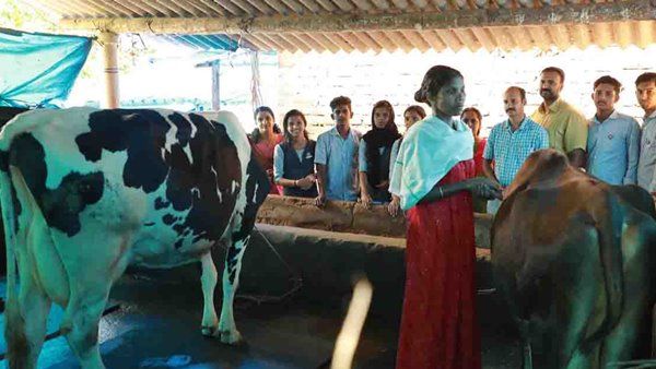 മഹാപ്രളയത്തിന് ഒരാണ്ട്; വീട്ടമ്മക്ക് സമ്മാനിച്ച പശുവിനെ കാണാന്‍ ഒരു വര്‍ഷത്തിന് ശേഷം വിദ്യാര്‍ത്ഥികളും അധ്യാപകരുമെത്തി, മാതൃകയായി ഡോണേറ്റ് എ കൗ പദ്ധതി!