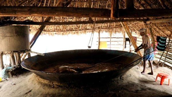 മറയൂര്‍ ശര്‍ക്കരക്ക് ഭൗമസൂചിക പദവി, മണ്ണിനോടുള്ള ആദരവ്... മറയൂർ ശർക്കരയുടെ പ്രത്യേകതകൾ ഇങ്ങനെ...