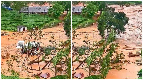 പുത്തുമലയിൽ നിന്ന് ഒരു സ്ത്രീയുടെ മൃതദേഹം കണ്ടെത്തി, ആകെ 12 പേർ, ഇനി കണ്ടെത്തേണ്ടത് 5 പേരെ