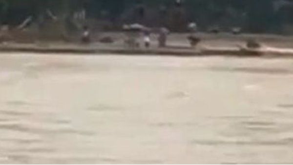 പുറത്തേക്ക് കടക്കാനുള്ള പാലം ഒഴുകി പോയി; പുഞ്ചക്കൊല്ലി വനത്തിൽ 250ലധികം ആദിവാസികൾ കുടുങ്ങി!