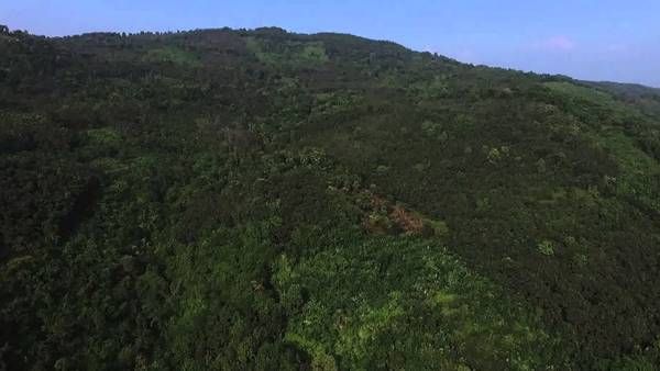 കണ്ണൂരില്‍ പുരളിമലയിലെ ക്രഷറിനെതിരെ പ്രതിഷേധം: മുഖ്യമന്ത്രിക്ക് പ്രദേശവാസികളുടെ പരാതി!