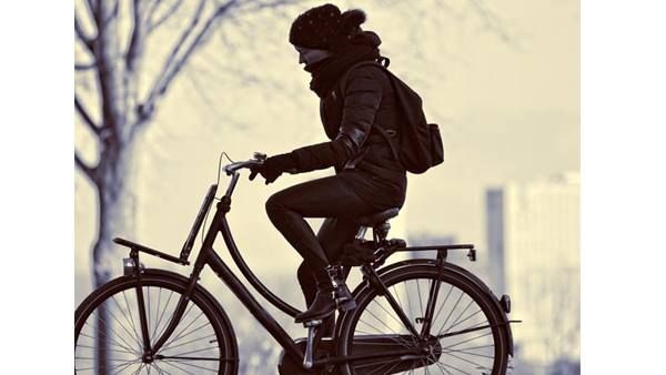 സൈക്കിള്‍ദിനം: മോട്ടോര്‍വാഹനരഹിത സന്ദേശം പ്രചരിപ്പിക്കും കലക്ടറും എസ്പിയും ജോലിക്ക് ഹാജരാവും