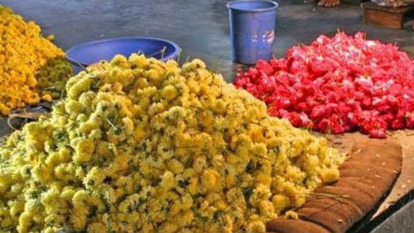 അത്തം പിറന്നു, പൂവിപണി കൈയ്യടക്കി തമിഴ്‌നാട്; എല്ലാവര്‍ക്കും വേണ്ടത് വെള്ളജമന്തി, കിറ്റും റെഡി