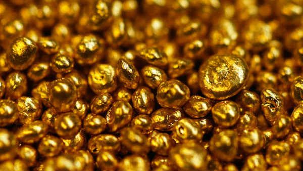 വീടിന് തറ കുഴിച്ചപ്പോള്‍ സ്വര്‍ണ കൂമ്പാരം; കണ്ണ് തള്ളി യുവാവ്, സന്തോഷം കൂടുതല്‍ നേരം നിന്നില്ല