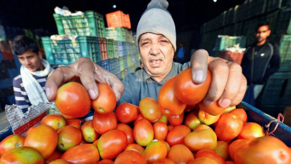 ഉള്ളിയല്ല തക്കാളിയും പോക്കറ്റ് കീറും: തക്കാളി വില 30ൽ നിന്ന് 60ലേക്ക്.. വെള്ളപ്പൊക്കവും മഴയും തിരിച