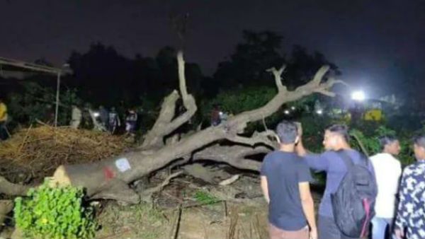 മുംബൈയുടെ 'ശ്വാസകോശം' വെട്ടിമാറ്റി; പ്രതിഷേധിച്ചവര്‍ അറസ്റ്റില്‍, നിരോധനാജ്ഞ പ്രഖ്യാപിച്ചു