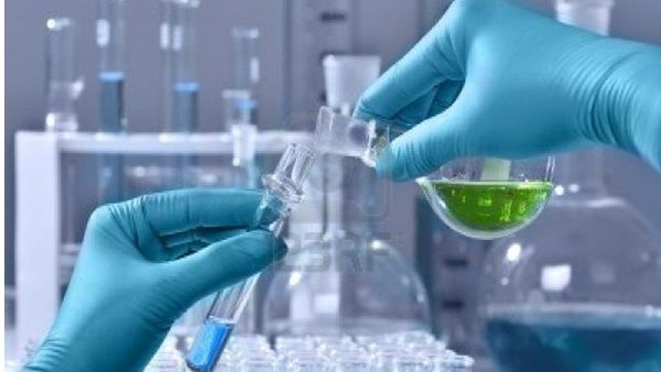 ജീവന്റെ പുതിയ രൂപം; തവളകളുടെ മൂലകോശത്തിൽ നിന്നും ജീവനുള്ള റോബോട്ട്, അമ്പരപ്പിച്ച് സെനോബോട്ട്