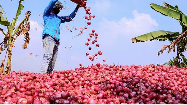 കണ്ണെരിയിച്ച് ഉള്ളി വില കുതിക്കുന്നു; വില കുത്തനെ ഉയർന്ന് ഉരുളകിഴങ്ങും,അടിയന്തര നടപടിയുമായി സർക്കാർ