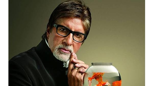 കൊറോണ വൈറസ് ഈച്ചകളിലൂടെ പടരുമോ? ബിഗ് ബിയുടെ വാദത്തിന് പിന്നിലെന്ത്, സത്യാവസ്ഥ ഇങ്ങനെ...