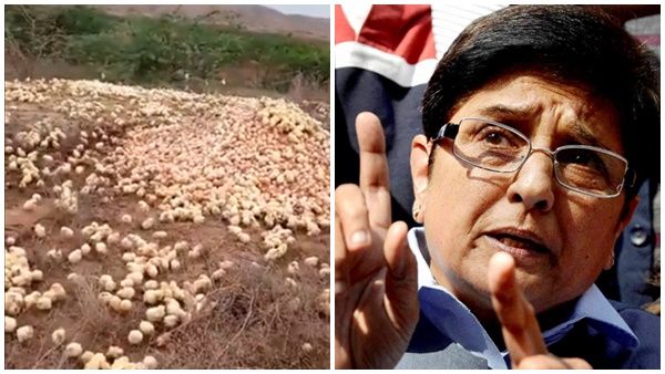 'കൊറോണയെ പേടിച്ച് മുട്ട വലിച്ചെറിഞ്ഞു, നിറയെ കോഴിക്കുഞ്ഞുങ്ങൾ'; കിരൺ ബേദിക്ക് ട്രോൾ മഴ