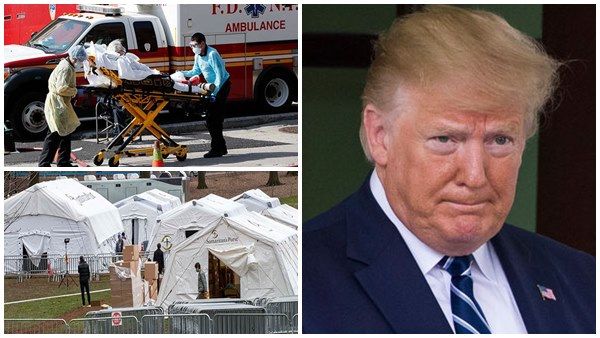 ന്യൂയോര്‍ക്ക് കണ്ണീര്‍ വാര്‍ക്കുന്നു, ഹാര്‍ട്ട് ഐലന്‍ഡില്‍ കൂട്ട കുഴിമാടങ്ങള്‍, അനാഥ കേന്ദ്രം!!