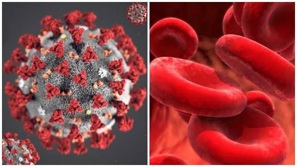 രക്തത്തില്‍ അസാധാരണ അവസ്ഥ... അമേരിക്കയില്‍ കൊടുംഭീതി! കൊവിഡിന്റെ ദുരൂഹഫലങ്ങള്‍...