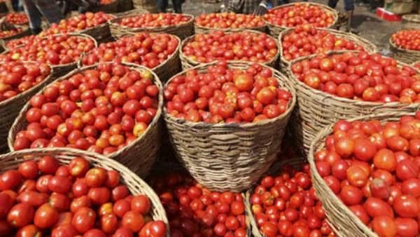 ആവശ്യക്കാർക്കിരിക്കട്ടെ...എട്ട് ലക്ഷം രൂപയുടെ പച്ചക്കറി സൌജന്യമായി നൽകി കർഷകൻ