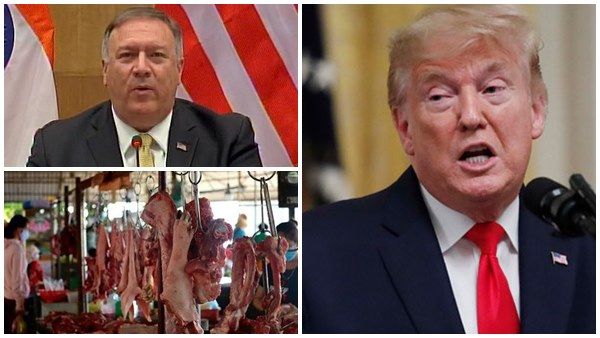 യുഎസിന് വെറ്റ് മാര്‍ക്കറ്റുമായി ഇടപാട്,കടത്തിയത് പൂച്ചക്കുട്ടികള്‍, ചൈനയെ ചതിച്ചു, ഒറ്റകാര്യത്തില്‍!