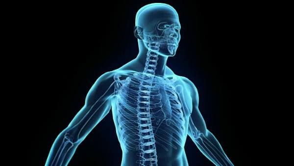 മനുഷ്യശരീരത്തെക്കുറിച്ച് നിങ്ങളറിയേണ്ട പത്ത് കാര്യങ്ങൾ.. സംശയിക്കാതെ എത്ര ചോദ്യങ്ങൾക്ക് ഉത്തരം നൽകും