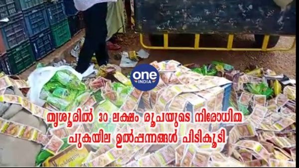 തൃശ്ശൂരിൽ നിന്ന് 30 ലക്ഷം രൂപയുടെ പുകയില ഉത്പന്നങ്ങൾ പിടികൂടി