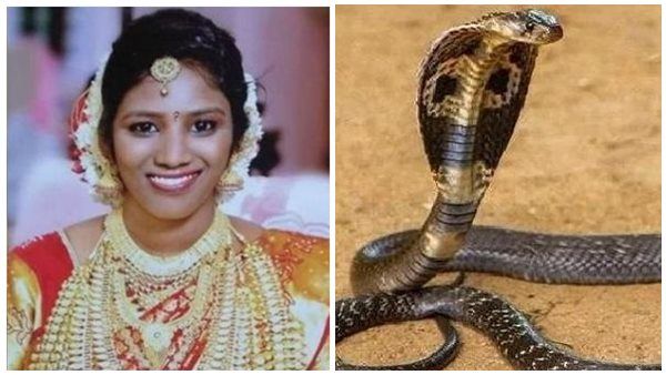 ഉത്രയെ കൊലപ്പെടുത്തി പുതിയ ജീവിതം സ്വപ്‌നംകണ്ടു, കുടുക്കിയത് പാമ്പ് സുരേഷ്;തെളിവെടുപ്പിനെത്തിച്ചു