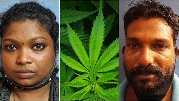 ബ്ലാക്ക് എയ്‍ഞ്ചല്‍ വലയില്‍ വീണു; സിനിമാ-സീരിയില്‍ നടി സരിതയും ഡ്രൈവറും കഞ്ചാവുമായി പിടിയില്‍