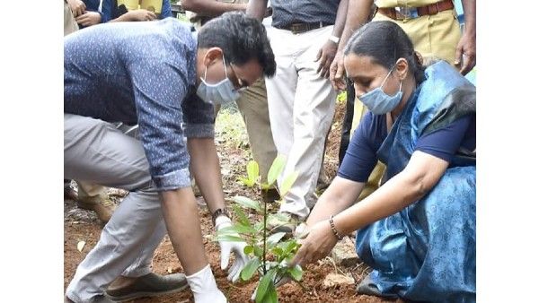 വീണ ജോർജ്ജ് എംഎൽഎയും കളക്ടറും ചേർത്ത് കളക്ടറേറ്റിൽ വൃക്ഷത്തൈ നട്ടു