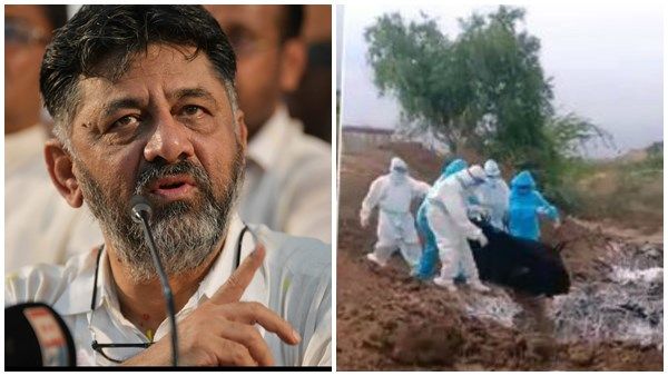 ഡികെ ശിവകുമാര്‍ പങ്കുവച്ച വീഡിയോ കണ്ട് കര്‍ണാടക ഞെട്ടി; വന്‍ വിവാദം, കൂട്ടത്തോടെ കുഴിച്ചിടുന്നു