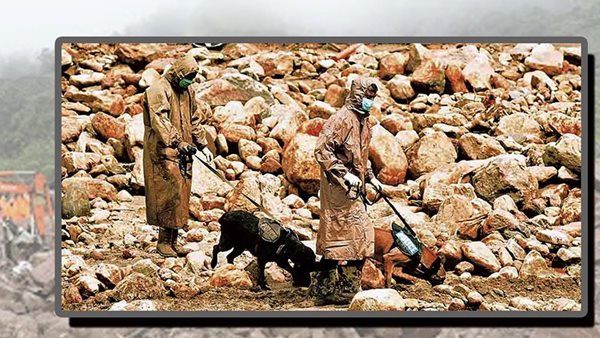 പെട്ടിമുടിയിൽ മണ്ണിൽ മറഞ്ഞവരെ കണ്ടെത്തി മായയും ഡോണയും, മിടുക്കരായ പോലീസ് നായ്ക്കൾ