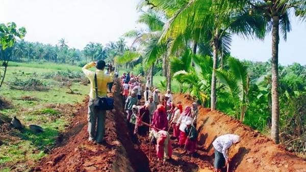 തൊഴിലുറപ്പ് മേഖലയിൽ അഭ്യസ്തവിദ്യരുടെ തള്ളിക്കയറ്റം: കൊ വിഡിനെ അതിജീവിക്കാൻ ന്യൂ ജനറേഷൻ