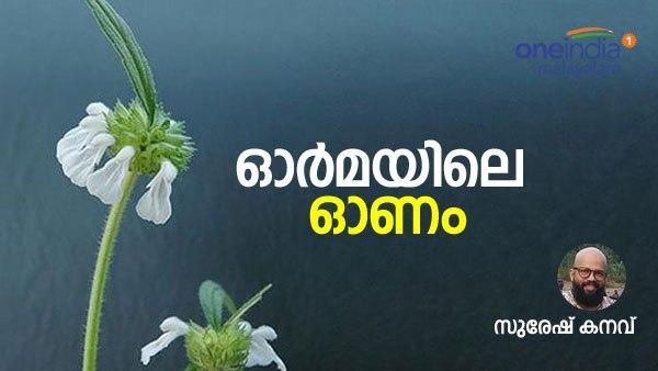 ഓര്‍മ്മയിലെ ഓണം: നിറവയറിന്‍റെയും പൂക്കളുടേയും ആഘോഷ ദിനങ്ങള്‍- സുരേഷ് കനവ് എഴുതുന്നു