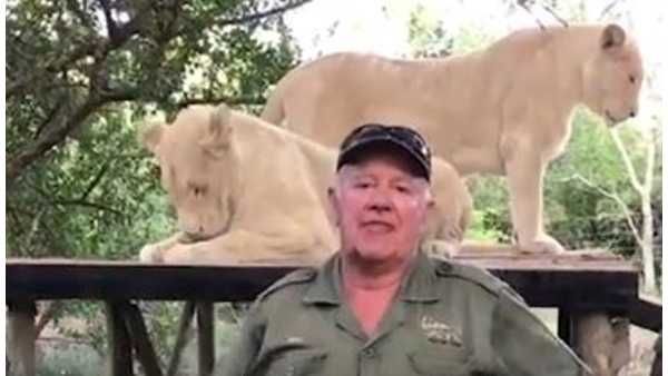 വളർത്തിയ സിംഹം തന്നെ കടിച്ചുകൊന്നു! ദക്ഷിണാഫ്രിക്കയിലെ 'അങ്കിൾവെസ്റ്റ്' മരിച്ചത് ഭാര്യയുടെ കൺമുന്നിൽ