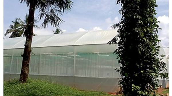 വികസന വഴിയിൽ ആറളം ഫാം: മിനി സൂപ്പർ മാർക്കറ്റ് വഴി ഉൽപ്പന്നങ്ങൾ ജനങ്ങളിലേക്ക്