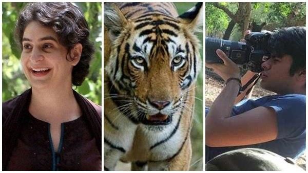 കാടുകയറി കടുവകളെ പകർത്തി വിസ്മയിപ്പിച്ച് പ്രിയങ്ക ഗാന്ധിയുടെ മകൻ റെയ്ഹാൻ; ;ചിത്രങ്ങൾ വൻ വൈറൽ