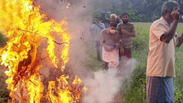 ദേശീയപാത വികസനം: ഉദ്ഘാടന വേളയില്‍ വയല്‍ക്കിളികള്‍ മുഖ്യമന്ത്രിയുടെ കോലം കത്തിച്ചു