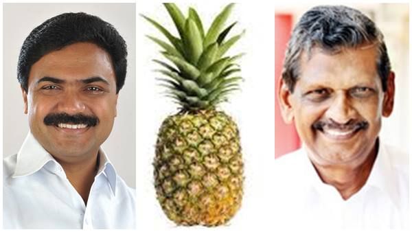 കൈതച്ചക്ക ചതിച്ച പാല! ഫാനും ചെണ്ടയും കൊണ്ട് എന്തുണ്ടാകും... രണ്ടിലയില്ലെങ്കില്‍ കഷ്ടം
