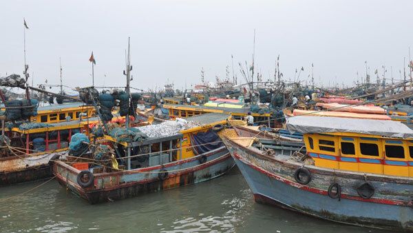മത്സ്യത്തൊഴിലാളികള്‍ക്കായി ഹോളോഗ്രാം രജിസ്‌ട്രേഷന്‍ ബോര്‍ഡുകള്‍; ആദ്യ ഘട്ടത്തില്‍ 300 ബോട്ടുകളില്‍