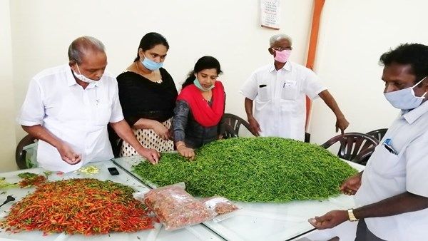 കണമല സർവ്വീസ് സഹകരണ ബാങ്കിന്റെ കർഷകരെ സഹായിച്ച 'കാന്താരി വിപ്ലവം' ;മന്ത്രിയുടെ കുറിപ്പ്