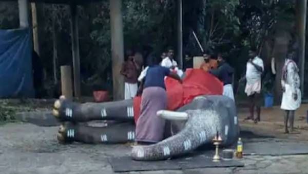 ആനപ്രേമികളുടെ ചക്രവര്‍ത്തി; ഗജവീരന്‍ മംഗലാകുന്ന് കര്‍ണന്‍ ചരിഞ്ഞു