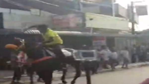 മാനദണ്ഡങ്ങള്‍ കാറ്റില്‍ പറത്തി പാലക്കാട് കുതിരയോട്ടം, 54 കുതിരകള്‍ പങ്കെടുത്തു, സംഘാടകർക്കെതിരെ കേസ്