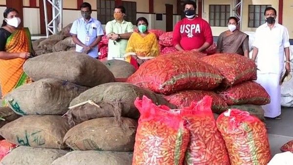 പച്ചക്കറി കിറ്റുകള്‍ വീട്ടിലെത്തും; അടിമാലി പഞ്ചായത്തിന്റെ പുതിയ പദ്ധതി, 25000 കിലോ