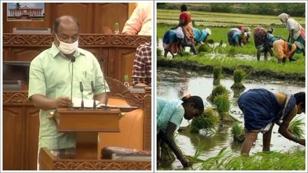 കേരള ബജറ്റ് 2021: 4 ശതമാനം പലിശ നിരക്കില്‍ കര്‍ഷകര്‍ക്ക് വായ്പ, 2000 കോടിയുടെ പദ്ധതി പ്രഖ്യാപിച്ച് ധനമന്ത്രി