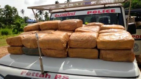 തലസ്ഥാനത്ത് വൻ ലഹരിമരുന്ന് വേട്ട; 100 കിലോയോളം വിലവരുന്ന കഞ്ചാവ് പിടികൂടി