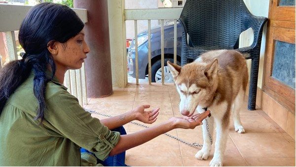 നായക്കുട്ടിയുടെ പേരിൽ തലസ്ഥാനത്ത് തർക്കം;പ്രശ്ന പരിഹാരത്തിന് ഡിജിപി ഓഫീസ് ഇടപ്പെട്ടു