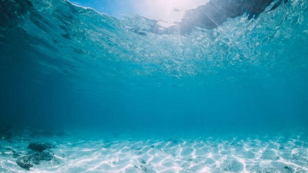 കൊച്ചിയില്‍ അഴിമുഖത്തിന് സമീപം കൂറ്റന്‍ മണല്‍ത്തിട്ട? കടലിനടിയിലെ ദ്വീപാണോ?