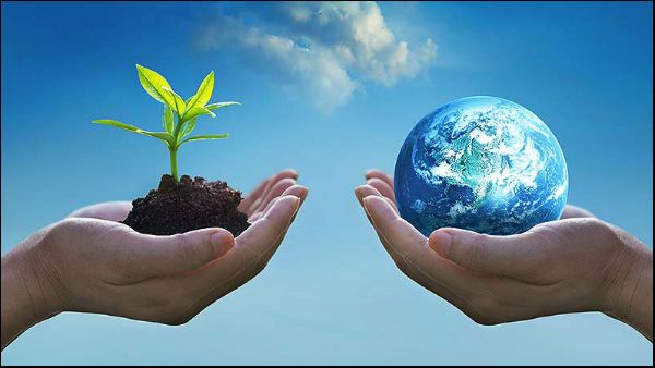 ഇന്ന് ലോക പരിസ്ഥിതി ദിനം; കുറച്ച് മരങ്ങള്‍ നട്ടോ പ്രതിജ്ഞ ചൊല്ലിയോ മാത്രം ഒതുക്കാവുന്നതല്ല പരിസ്ഥിതി സംരക്ഷണം