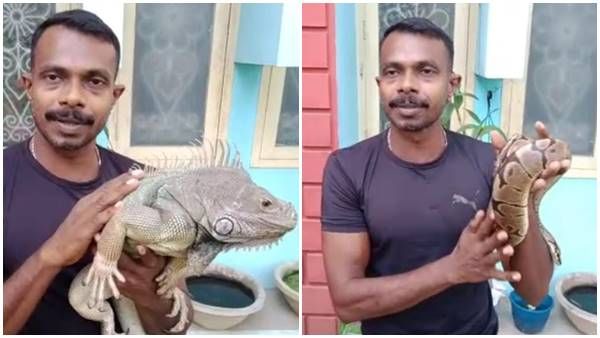 വിദേശ പെരുമ്പാമ്പിനെ വീട്ടിൽ വളർത്തുന്ന ഓട്ടോഡ്രൈവറെ പരിചയപ്പെടാം!!!