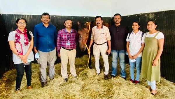 അത്യപൂര്‍വ്വ ശസ്ത്രക്രിയയിലൂടെ ശ്വാസം വീണ്ടെടുത്ത് പൊലീസിന്റെ മിടുക്കന്‍ കുതിര; കേരളത്തില്‍ ആദ്യം