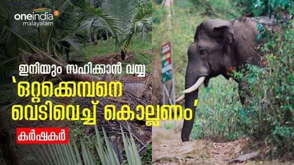 കൃഷിയെല്ലാം തകര്‍ത്തു: ഇനിയും സഹിക്കാന്‍ വയ്യ 'ഒറ്റക്കെമ്പനെ വെടിവെച്ച് കൊല്ലണം'; കര്‍ഷകര്‍ പറയുന്നു