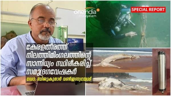 പിഗ്മി നീലത്തിമിംഗലം ആദ്യമായി കേരള തീരത്ത്, ഇണയെ വിളിക്കുന്ന ശബ്ദം പിടിച്ച് ഗവേഷകർ
