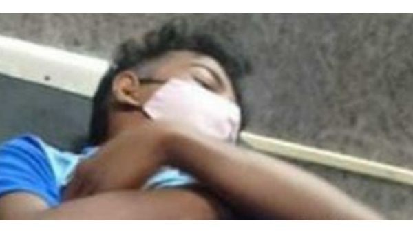 മൊബൈൽ ഫോൺ റേഞ്ച് ലഭിക്കുന്നതിനായി മരത്തിൽ കയറി: ആദിവാസി വിദ്യാർത്ഥി വീണു പരുക്കേറ്റു